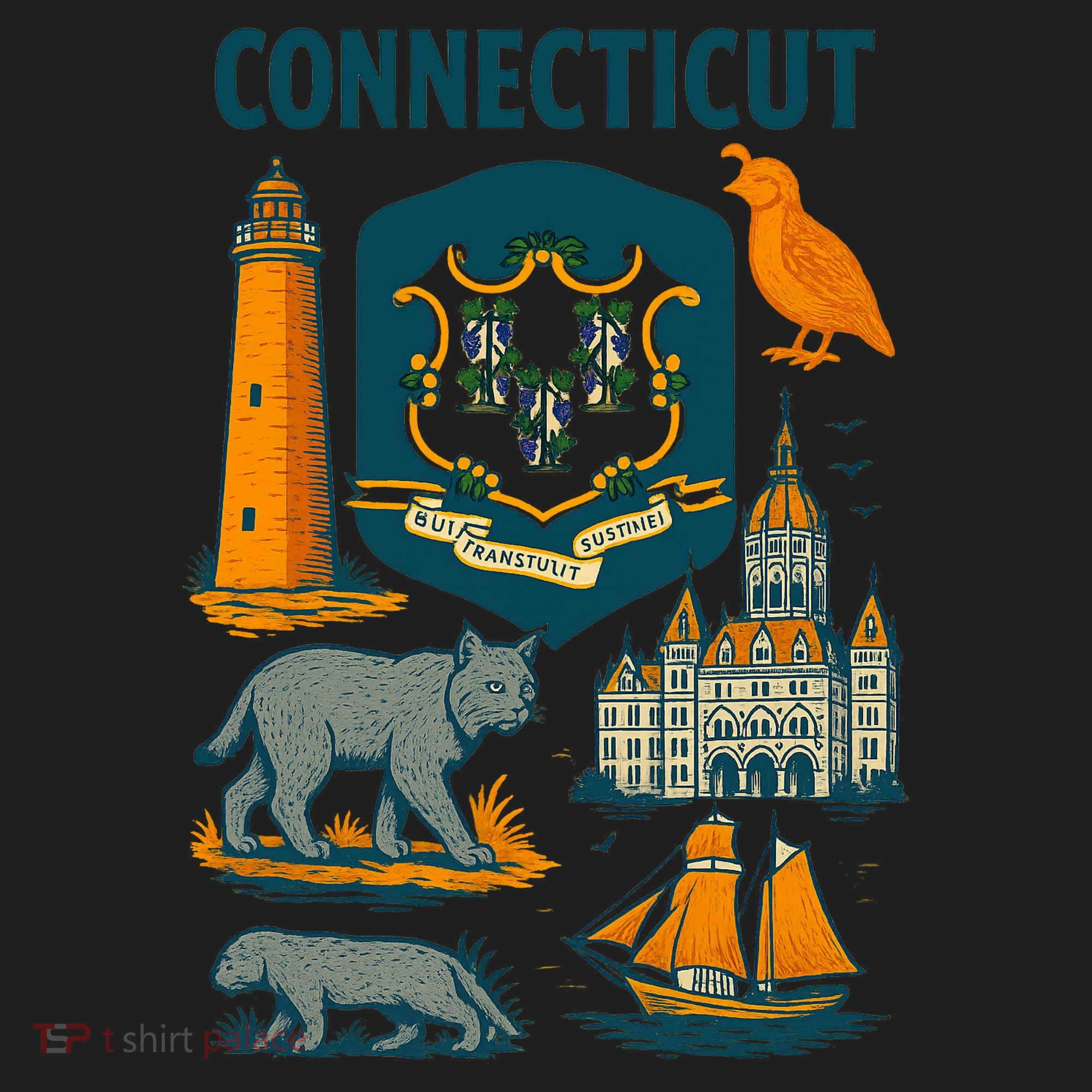 Iconic Connecticut Women's Sweatshirt