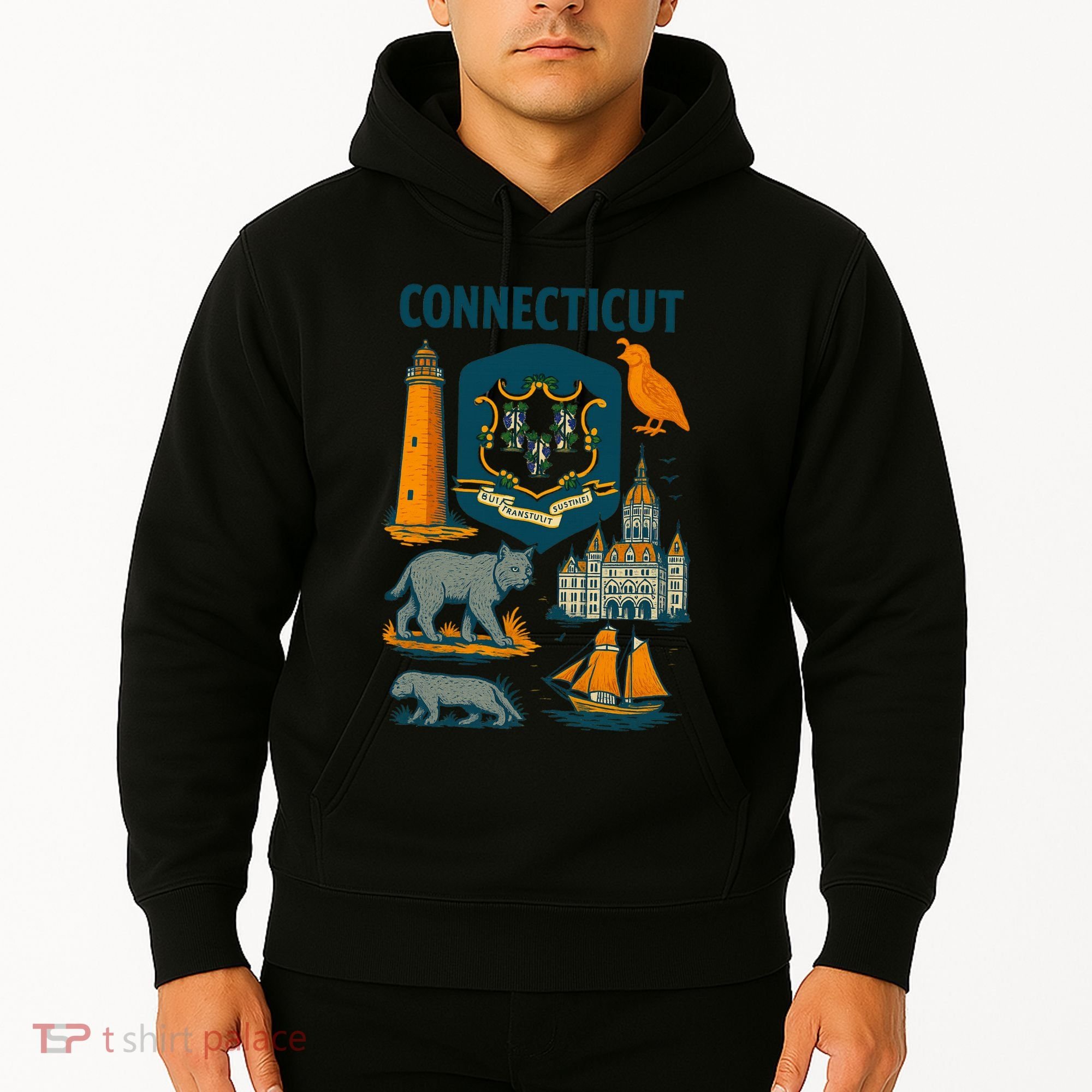 Iconic Connecticut Hoodie