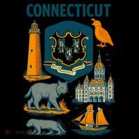 Iconic Connecticut Hoodie thumb 7