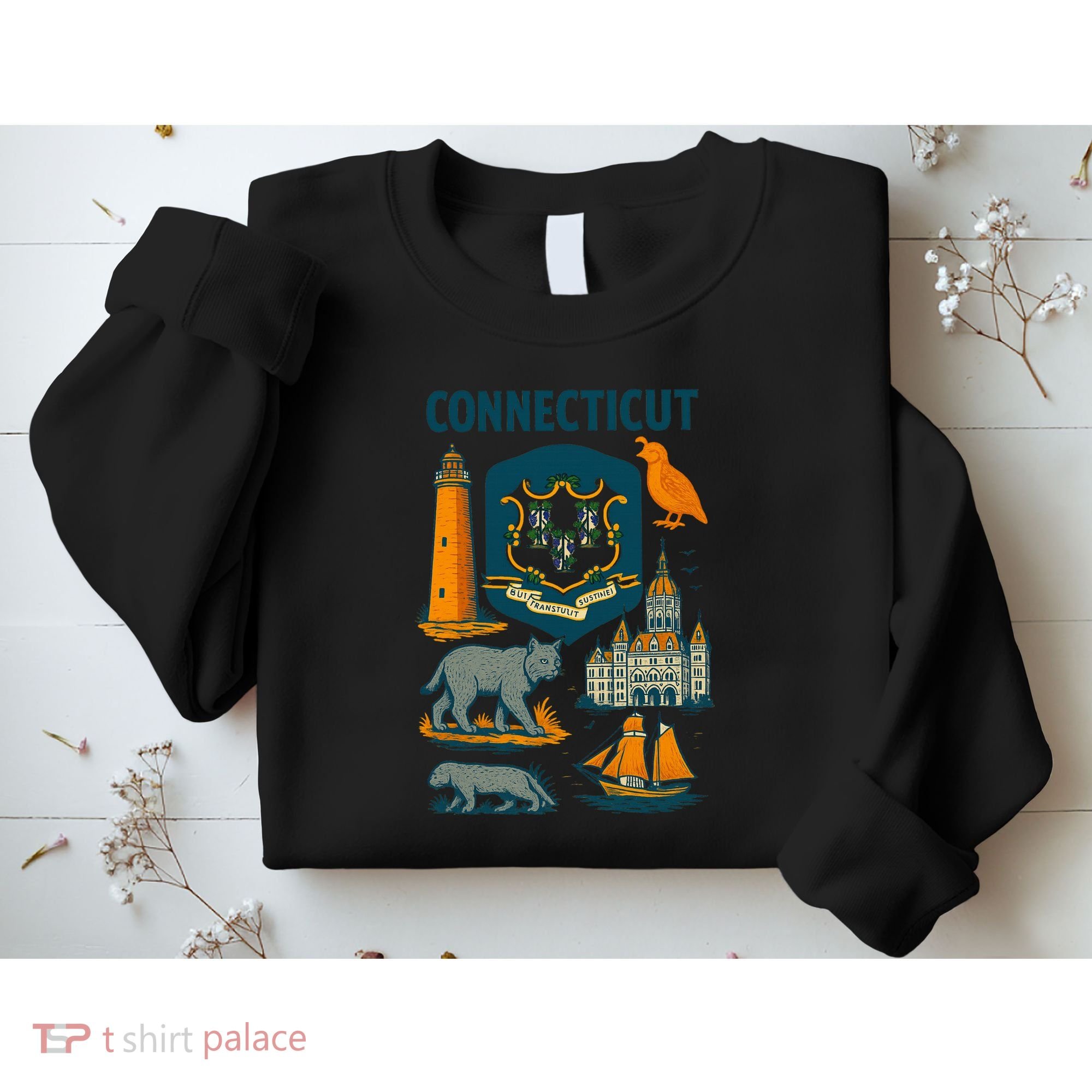 Iconic Connecticut Sweatshirt