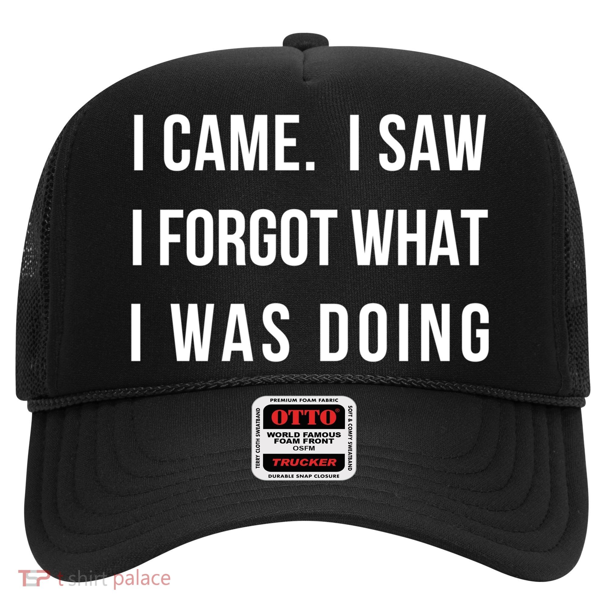 I Came I Saw I Forgot What I Was Doing Sarcastic Tee Gift Hat