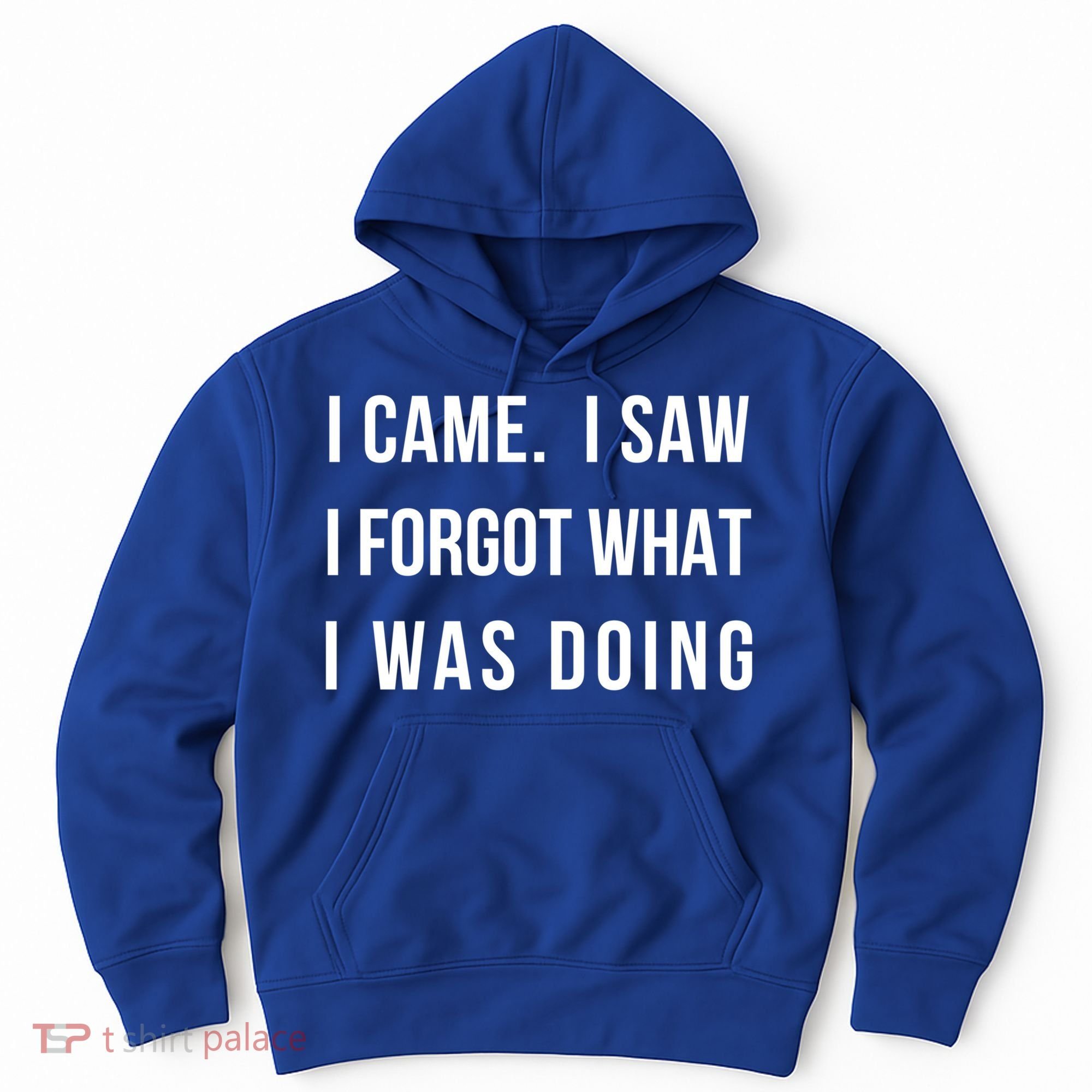 I Came I Saw I Forgot What I Was Doing Sarcastic Tee Gift Hoodie