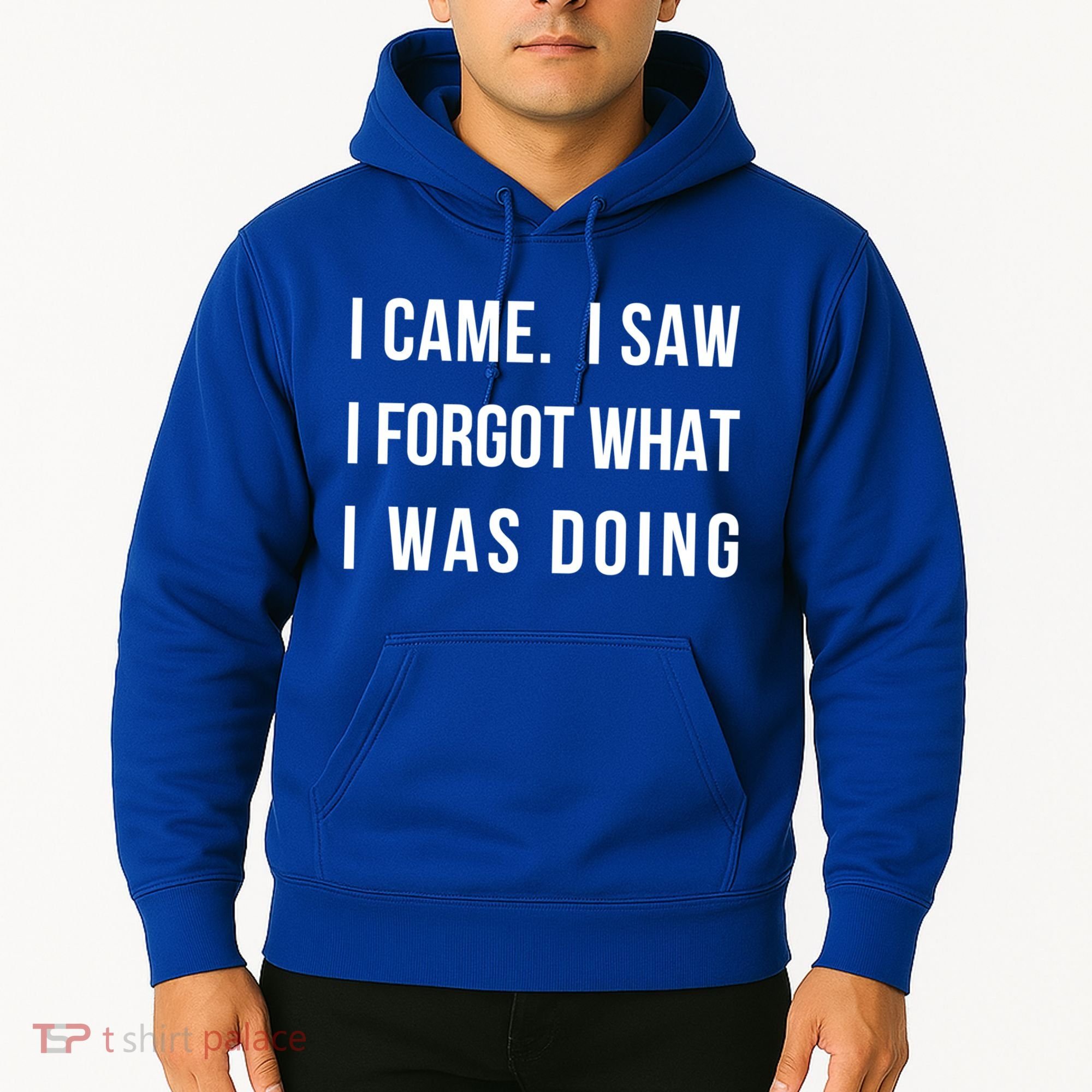 I Came I Saw I Forgot What I Was Doing Sarcastic Tee Gift Hoodie
