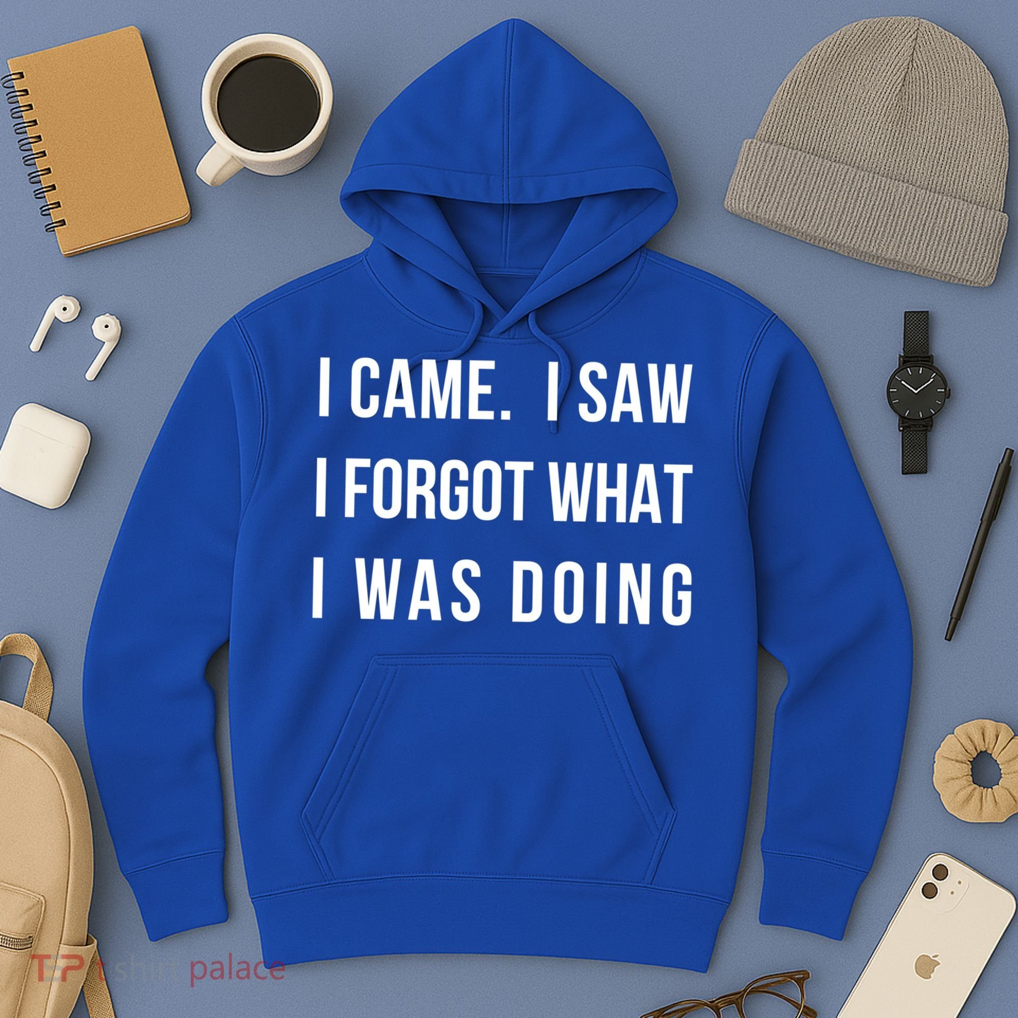 I Came I Saw I Forgot What I Was Doing Sarcastic Tee Gift Hoodie