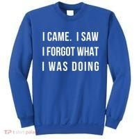 I Came I Saw I Forgot What I Was Doing Sarcastic Tee Gift Sweatshirt thumb 0