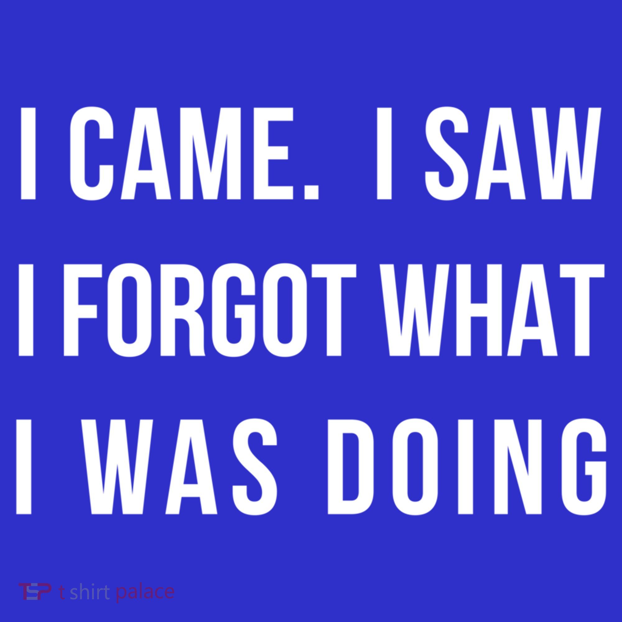 I Came I Saw I Forgot What I Was Doing Sarcastic Tee Gift Women's Tank Top
