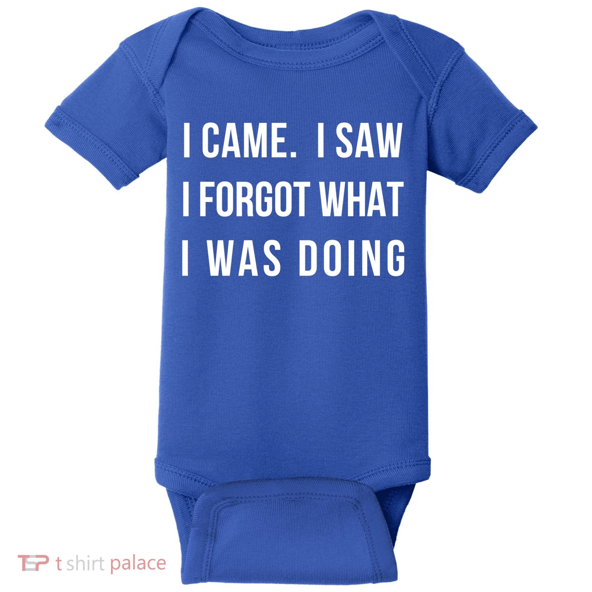 I Came I Saw I Forgot What I Was Doing Sarcastic Tee Gift Baby Bodysuit