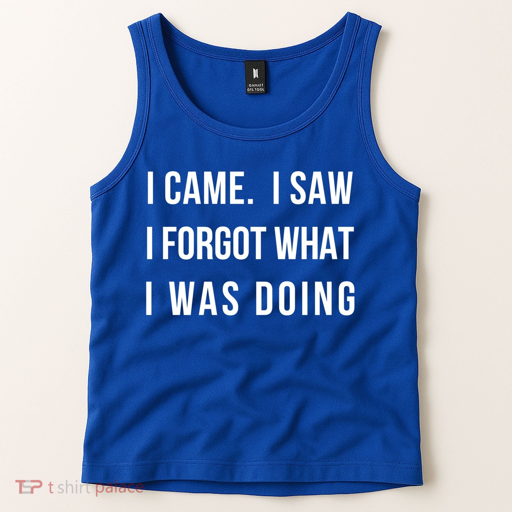 I Came I Saw I Forgot What I Was Doing Sarcastic Tee Gift Tank Top