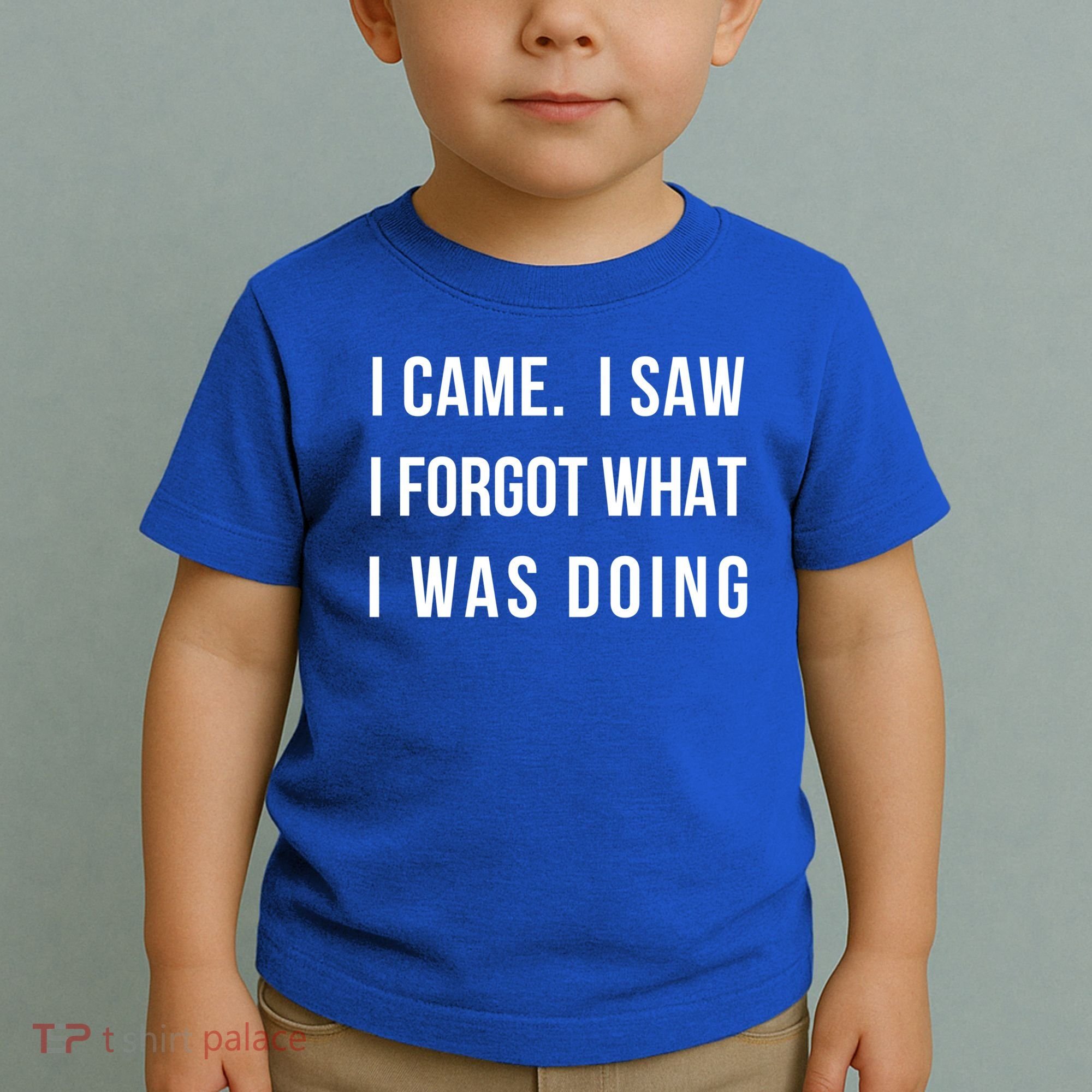 I Came I Saw I Forgot What I Was Doing Sarcastic Tee Gift Toddler T-Shirt