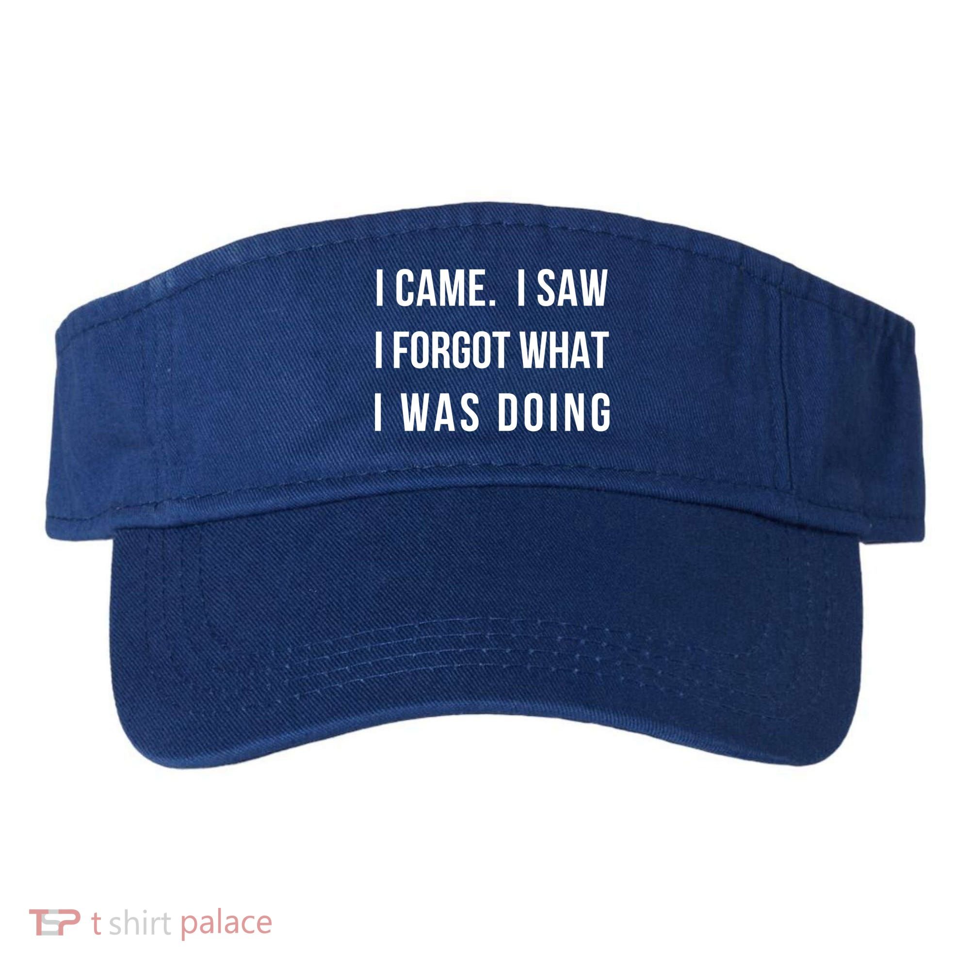 I Came I Saw I Forgot What I Was Doing Sarcastic Tee Gift Visor