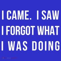 I Came I Saw I Forgot What I Was Doing Sarcastic Tee Gift Visor thumb 3