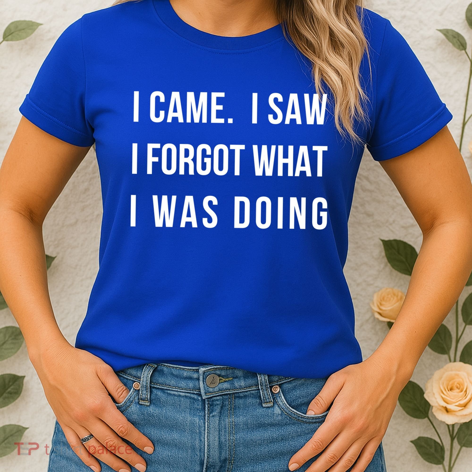 I Came I Saw I Forgot What I Was Doing Sarcastic Tee Gift Women's T-Shirt