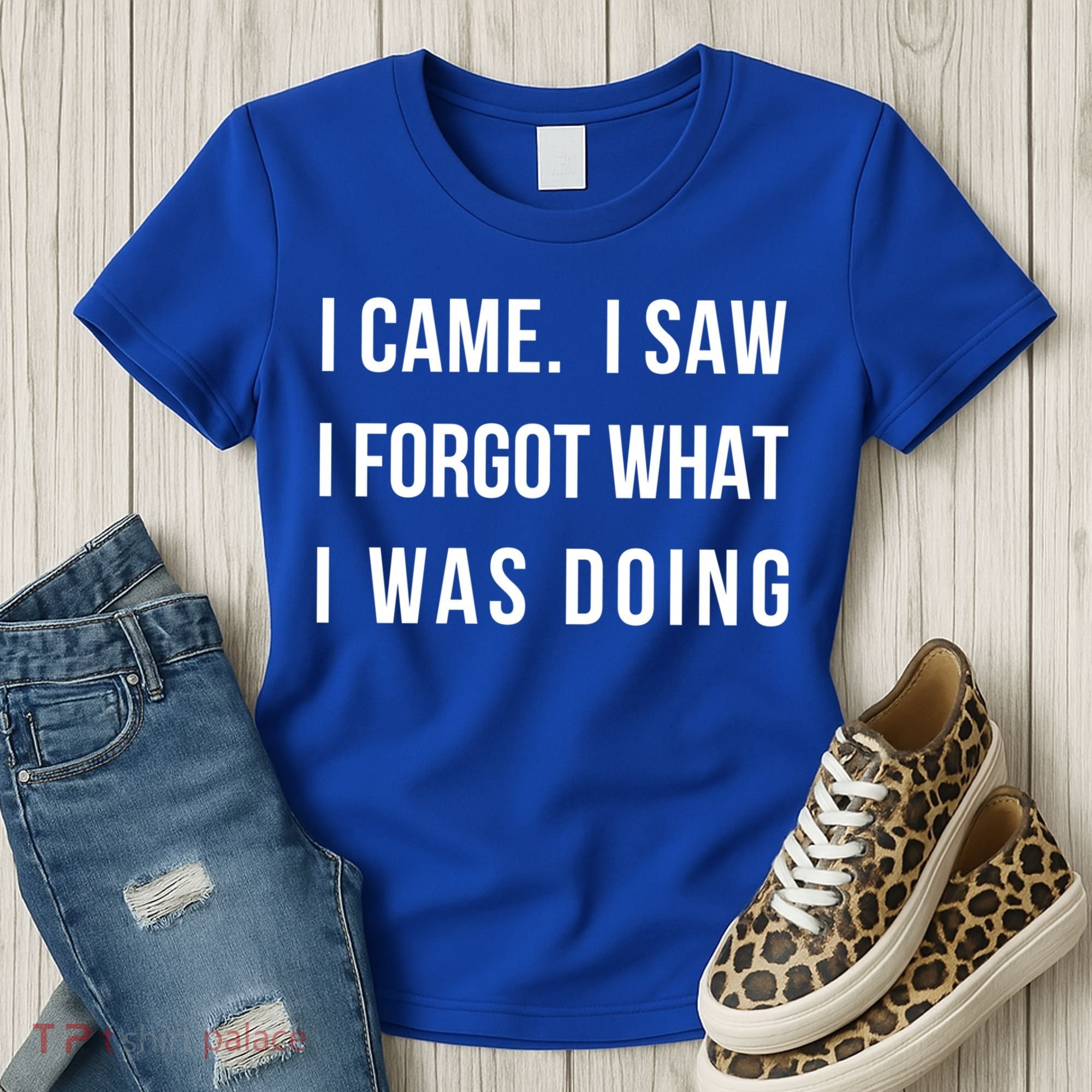 I Came I Saw I Forgot What I Was Doing Sarcastic Tee Gift Women's T-Shirt