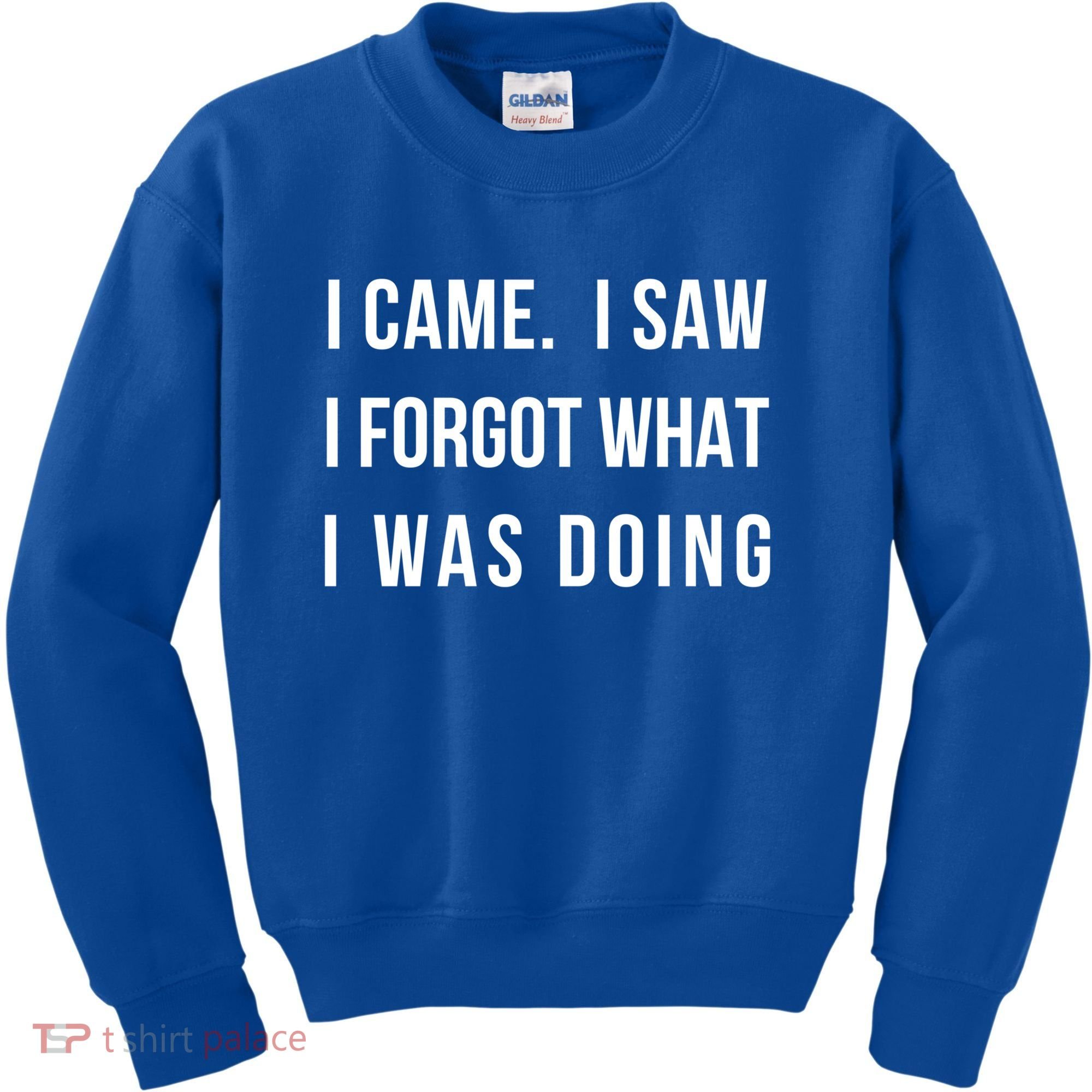 I Came I Saw I Forgot What I Was Doing Sarcastic Tee Gift Kids Sweatshirt