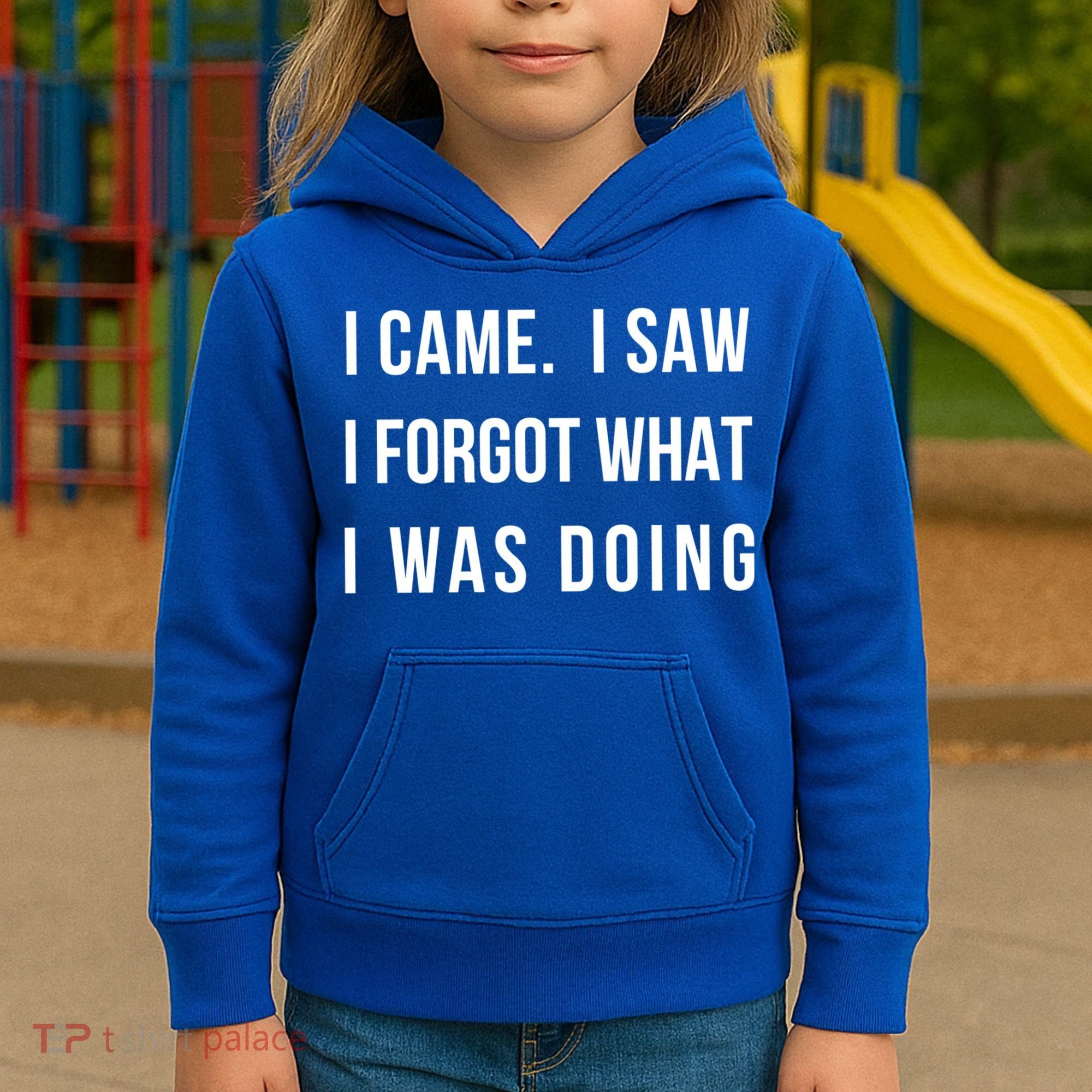I Came I Saw I Forgot What I Was Doing Sarcastic Tee Gift Kids Hoodie