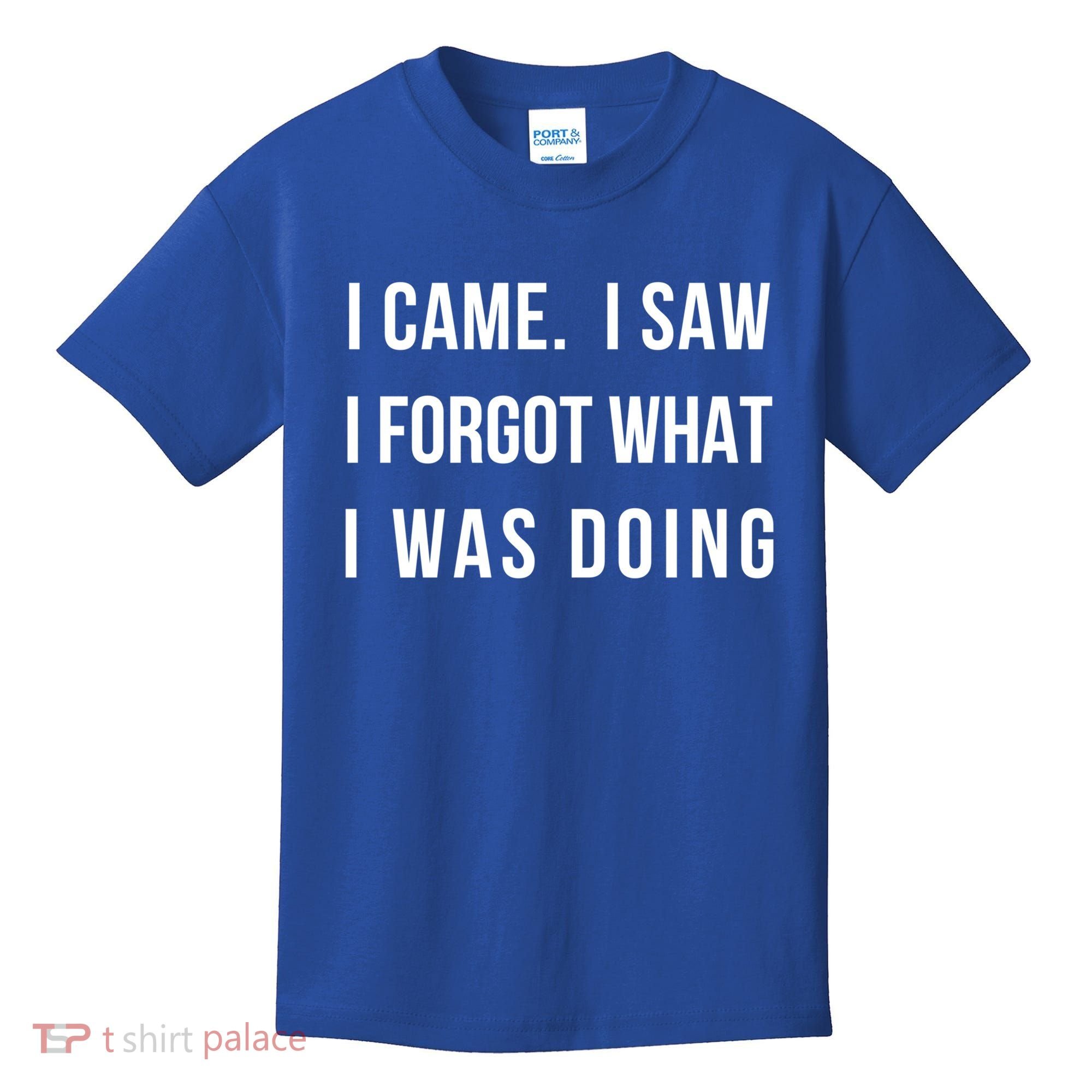 I Came I Saw I Forgot What I Was Doing Sarcastic Tee Gift Kids T-Shirt