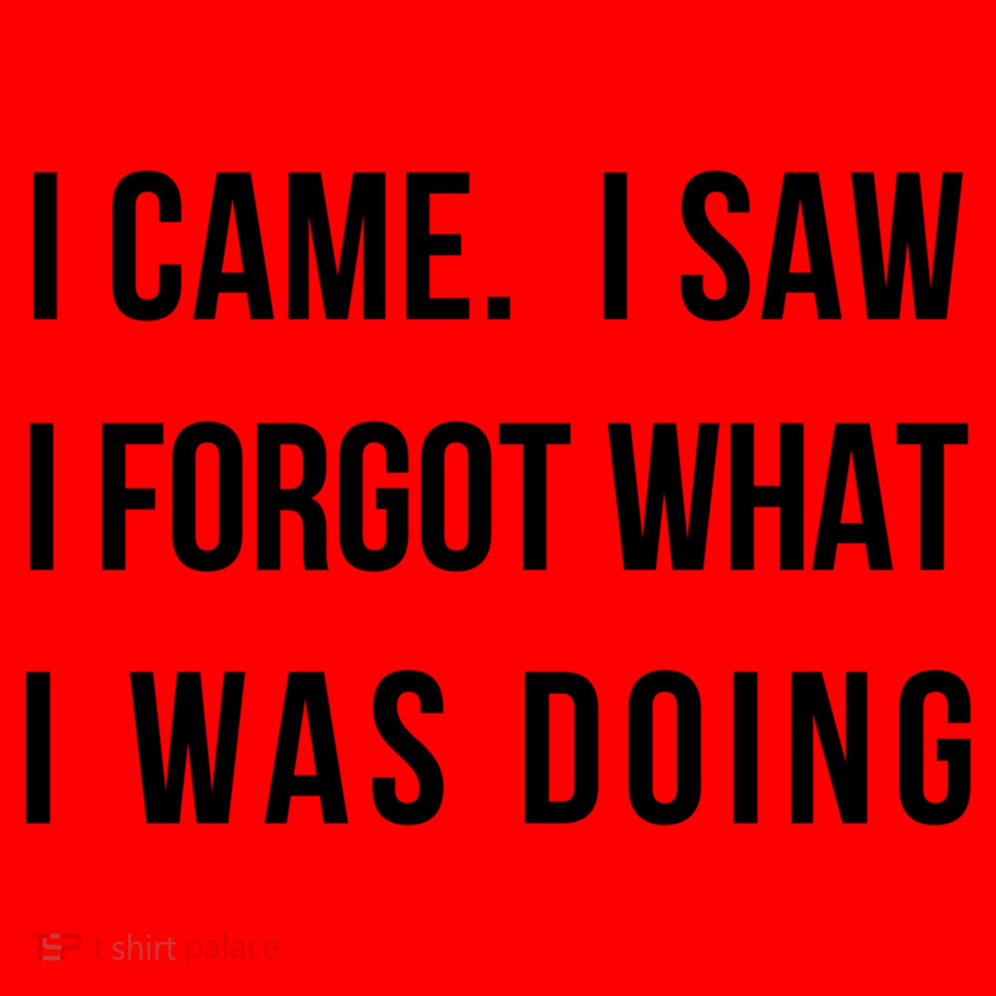 I Came I Saw I Forgot What I Was Doing Sarcastic Tee Gift Santa Hat