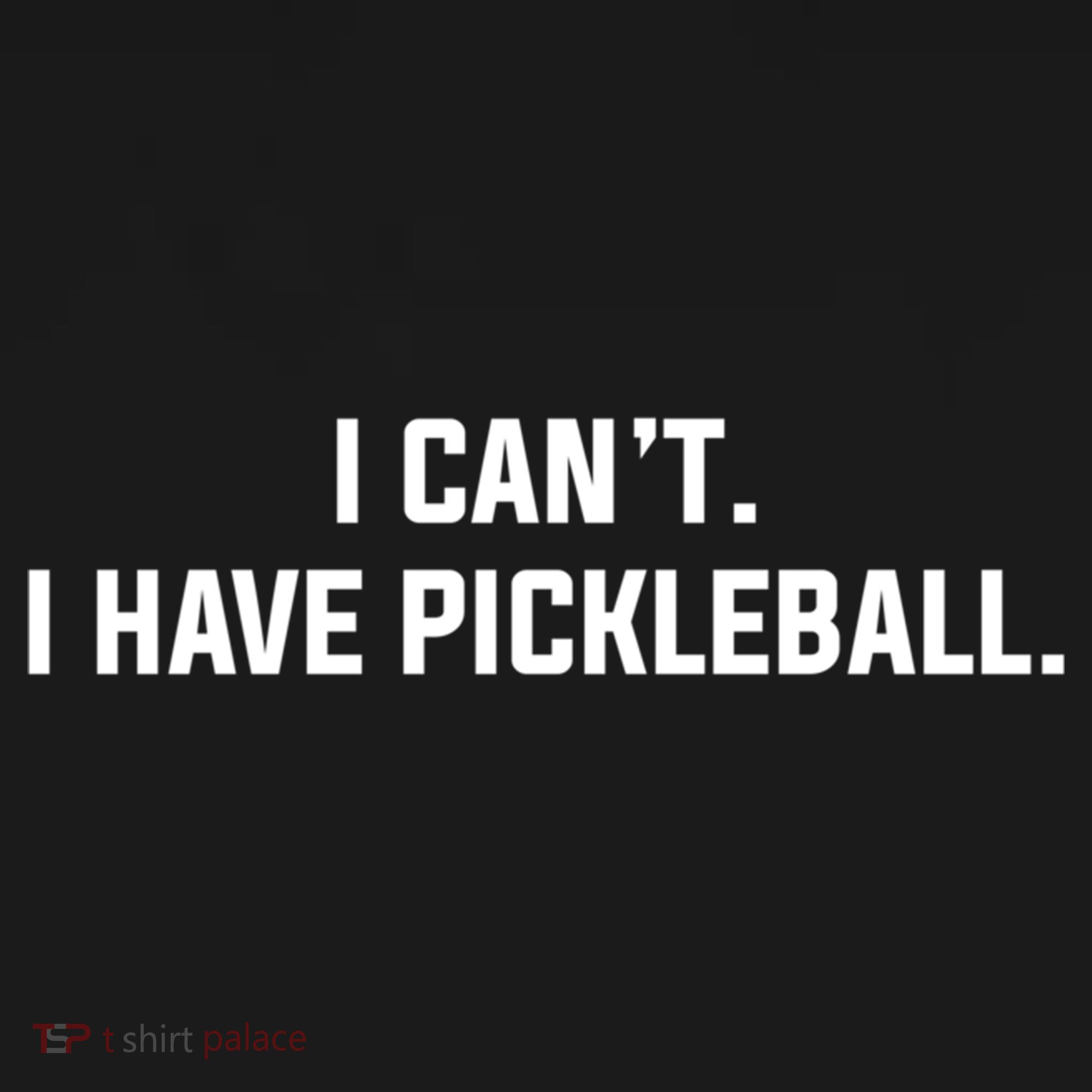 I CanT I Have Pickleball Funny Slogan Gift Women's Hoodie
