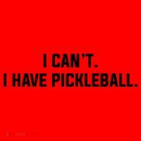 I CanT I Have Pickleball Funny Slogan Gift Santa Hat thumb 1