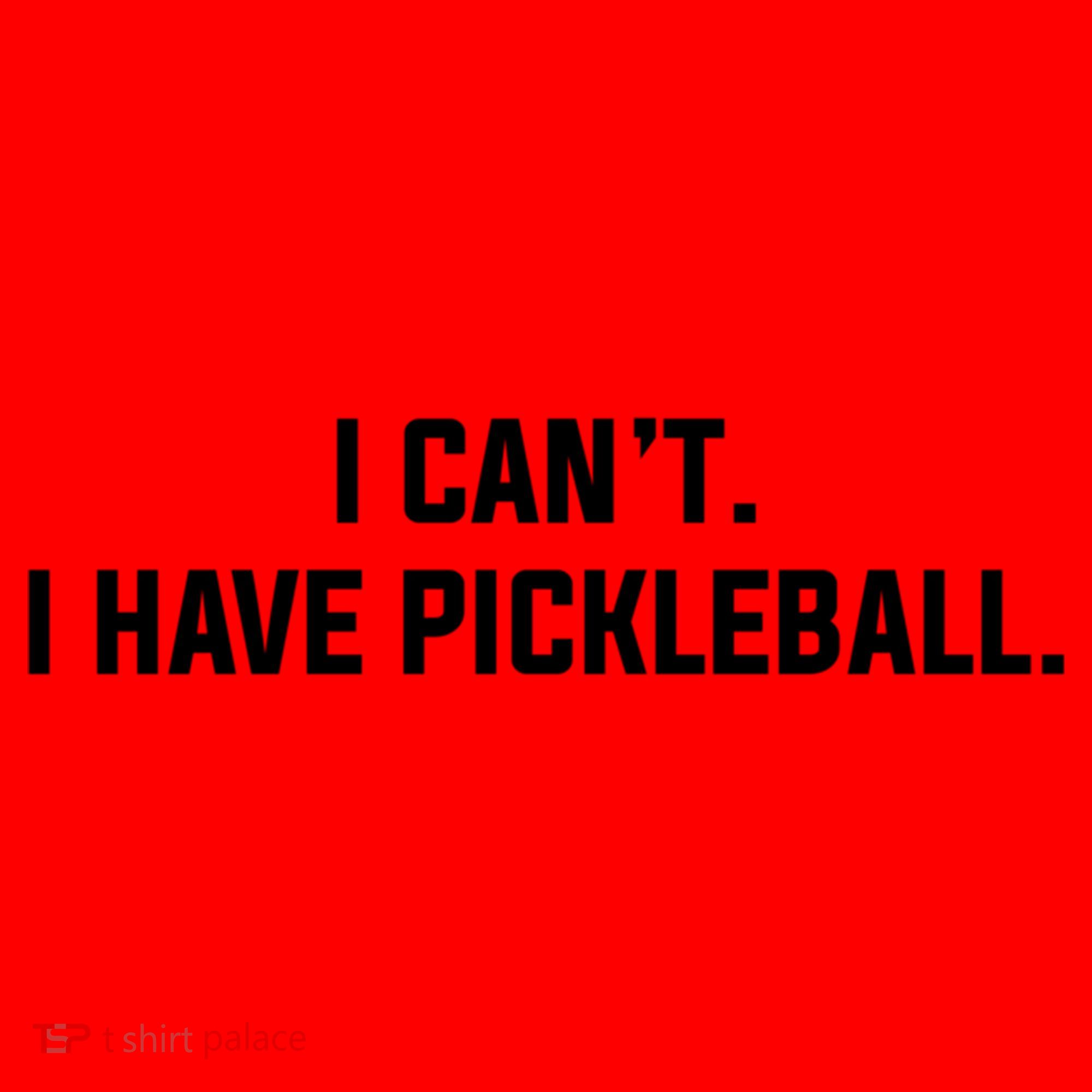 I CanT I Have Pickleball Funny Slogan Gift Santa Hat