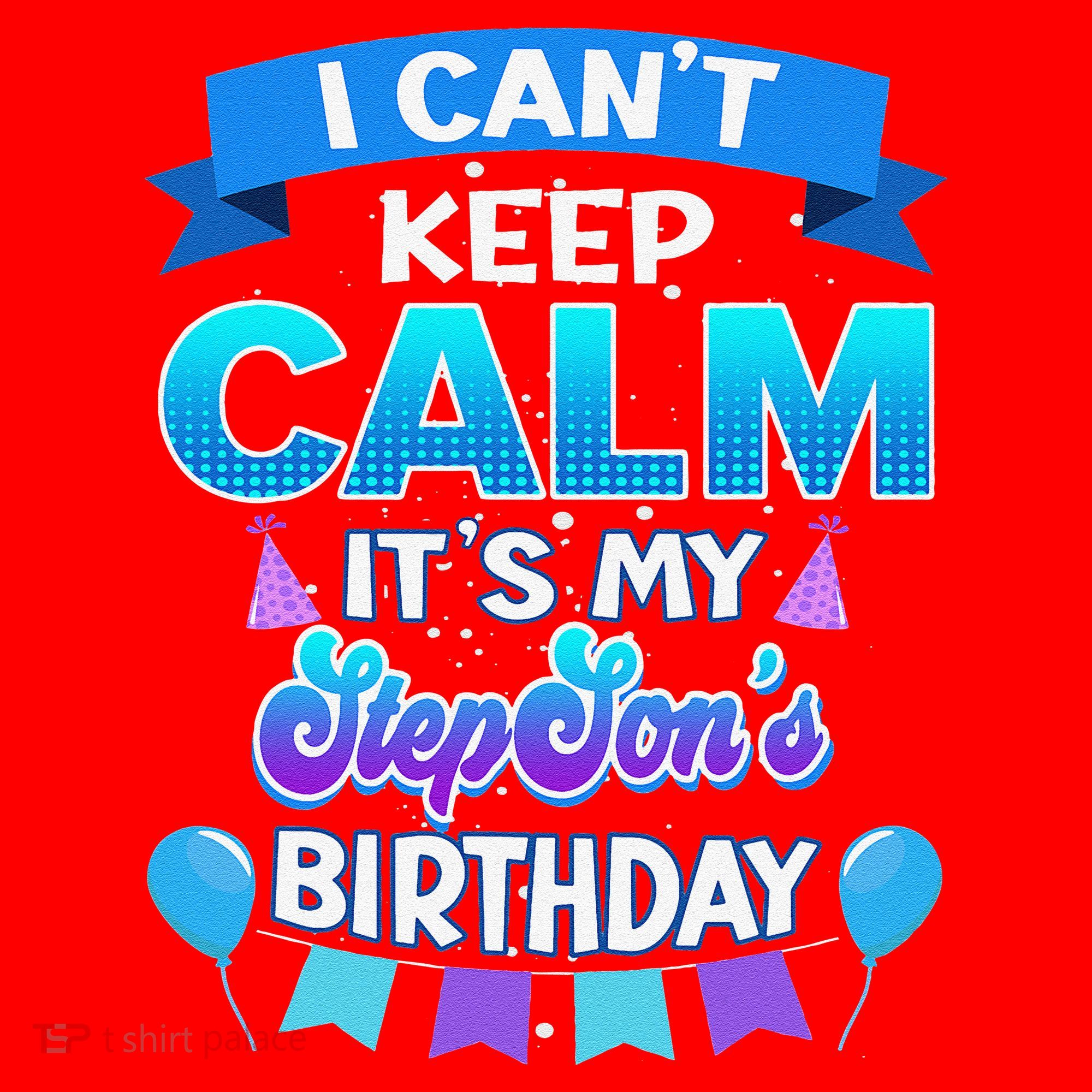 I Cant Keep Calm Its My Stepson Birthday Bday Santa Hat