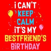 I Can't Keep Calm It's My Best Friend's Birthday Santa Hat thumb 1