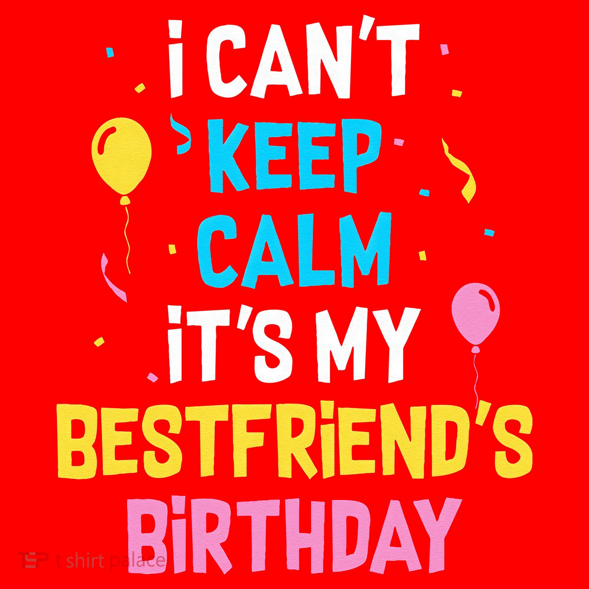I Can't Keep Calm It's My Best Friend's Birthday Santa Hat