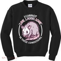 I Cannot Live Laugh Love In These Conditions Opossum Kids Sweatshirt thumb 0