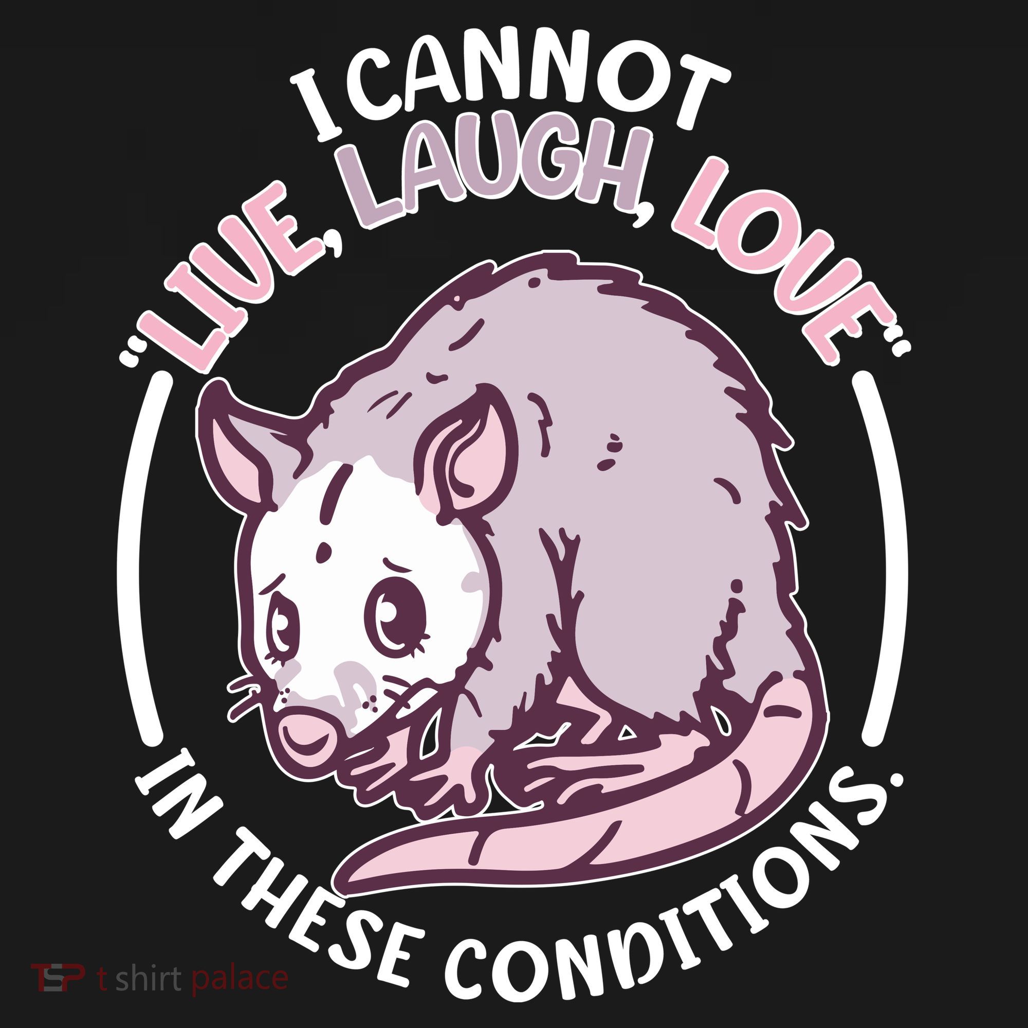 I Cannot Live Laugh Love In These Conditions Opossum Kids Sweatshirt
