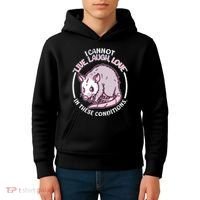 I Cannot Live Laugh Love In These Conditions Opossum Kids Hoodie thumb 4
