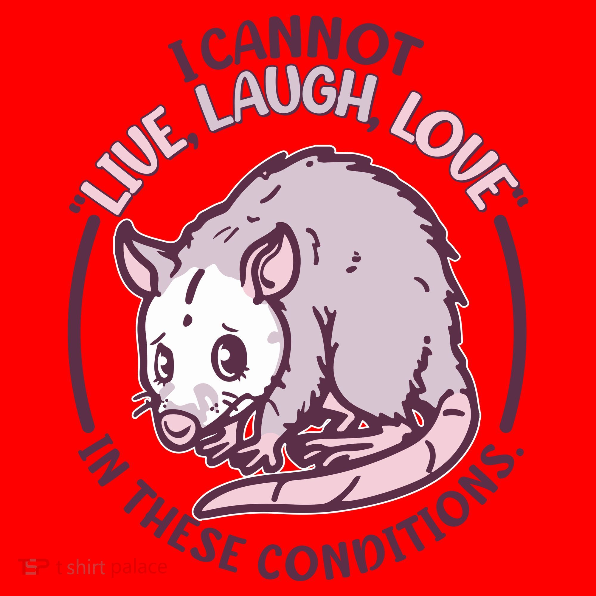 I Cannot Live Laugh Love In These Conditions Opossum Santa Hat
