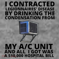 I Contracted Legionnaires' Disease By Drinking The Condensation From My AC Unit Toddler Hoodie thumb 2