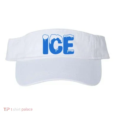 Visor