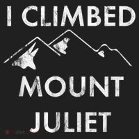 I Climbed Mount Juliet Distressed Funny Hat thumb 2