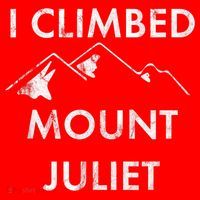 I Climbed Mount Juliet Distressed Funny Santa Hat thumb 1