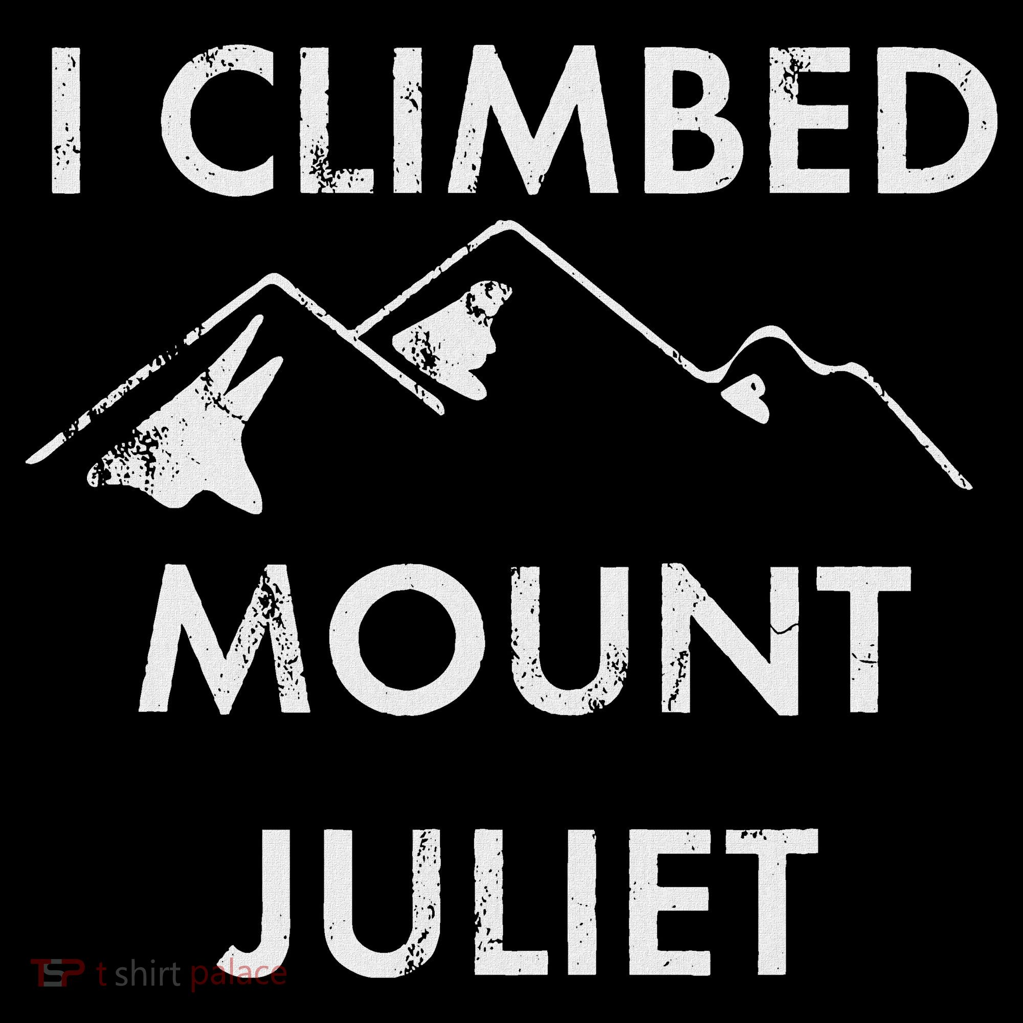 I Climbed Mount Juliet Distressed Backpack