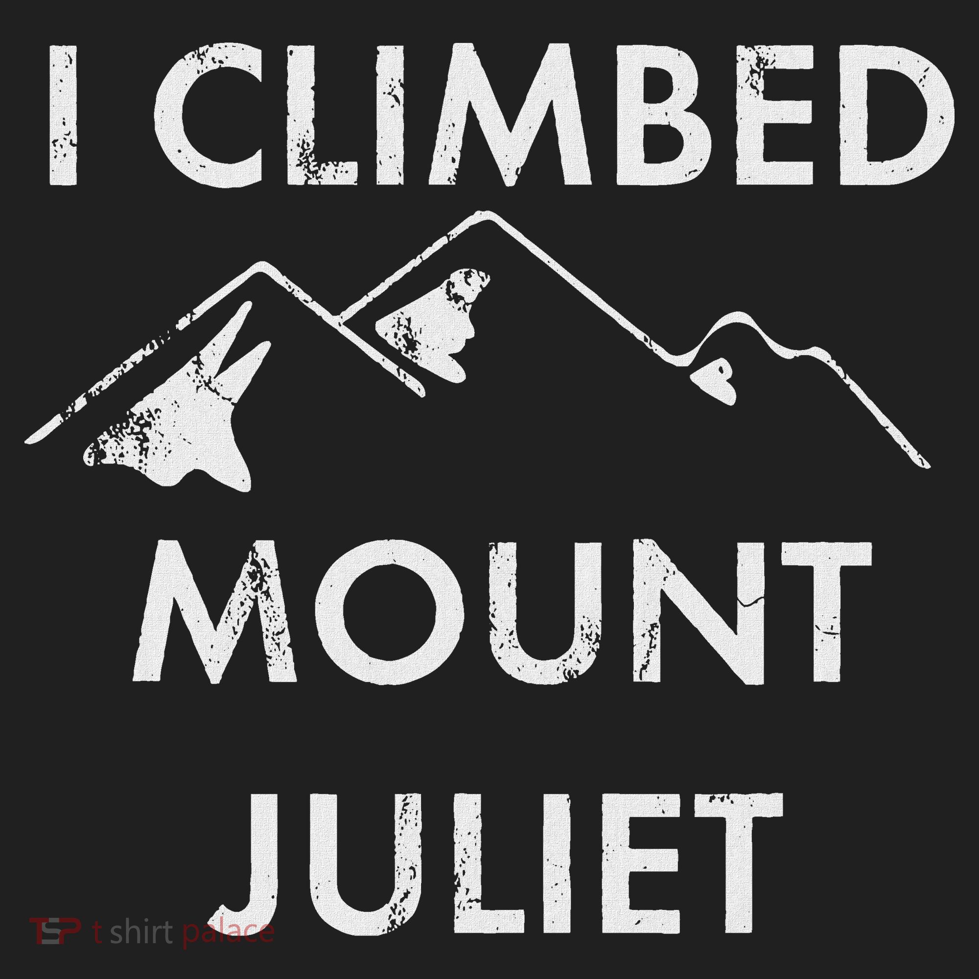 I Climbed Mount Juliet Distressed Tumbler