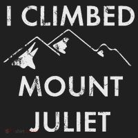 I Climbed Mount Juliet Distressed Hat thumb 2