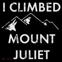 I Climbed Mount Juliet Distressed Toddler T-Shirt thumb 4