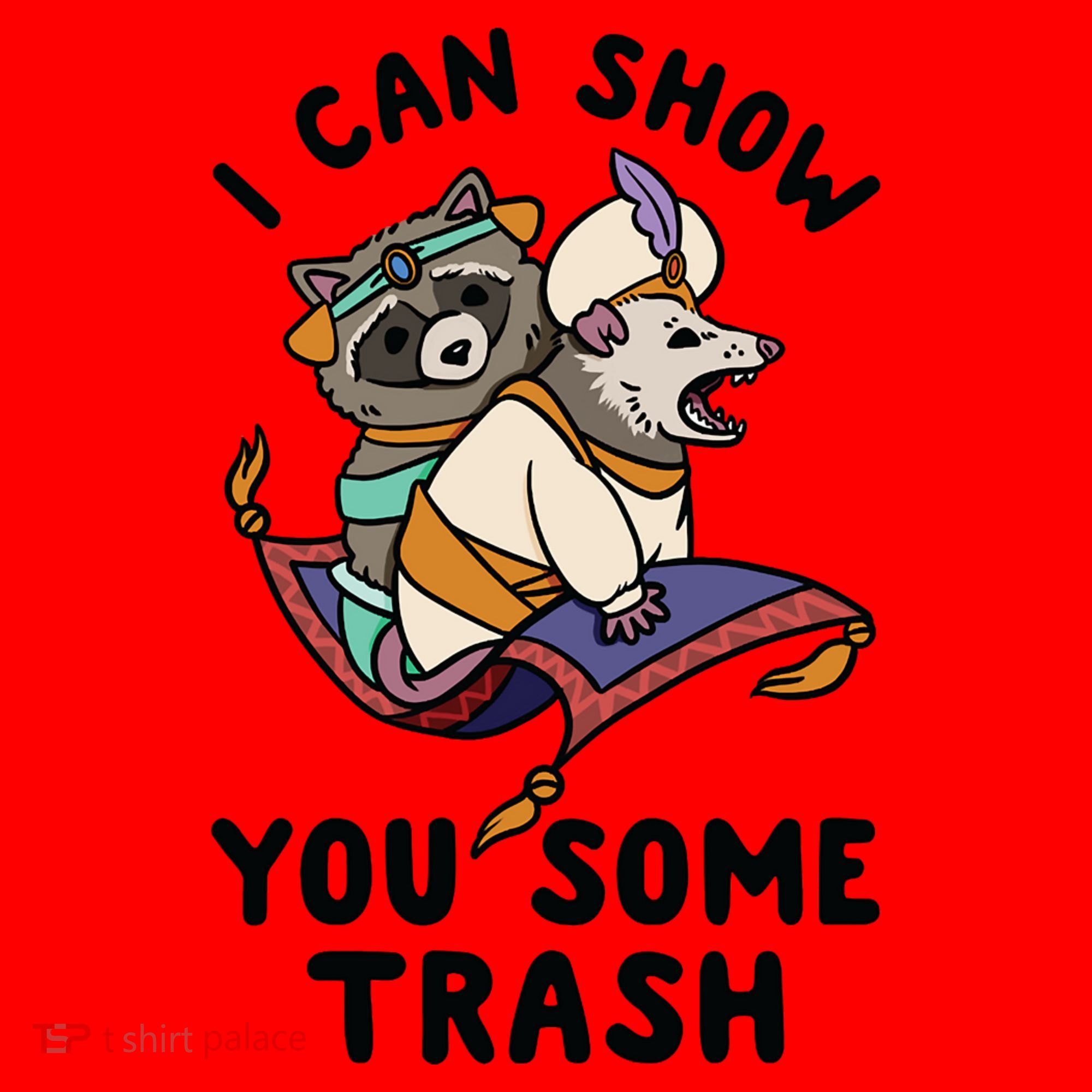 I Can Show You Some Trash, Funny Raccoon And Possum Santa Hat