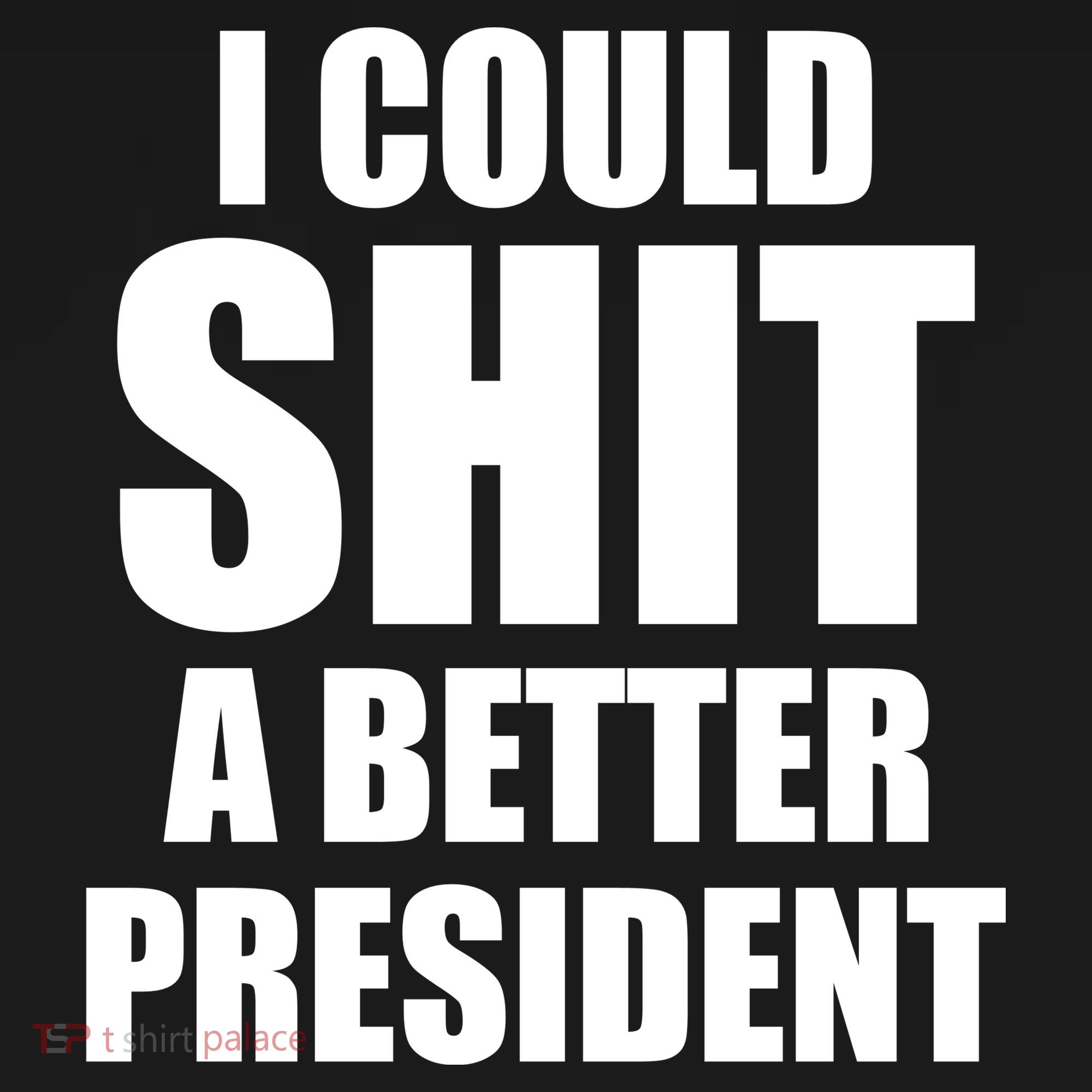 I Could Sh*t A Better President Funny Anti Biden Ornament
