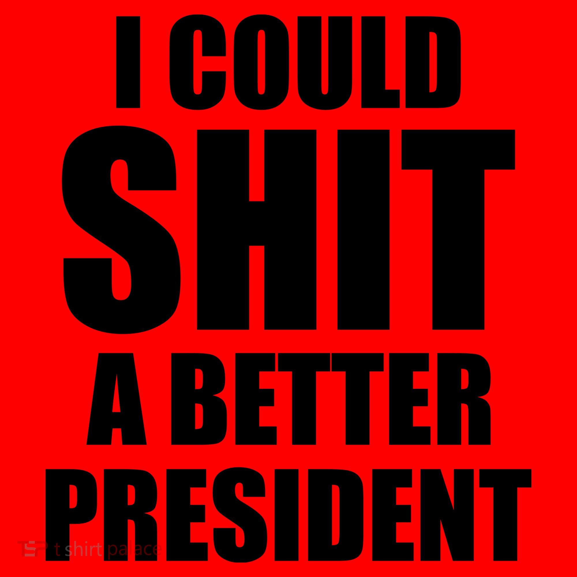 I Could Sh*t A Better President Funny Anti Biden Santa Hat