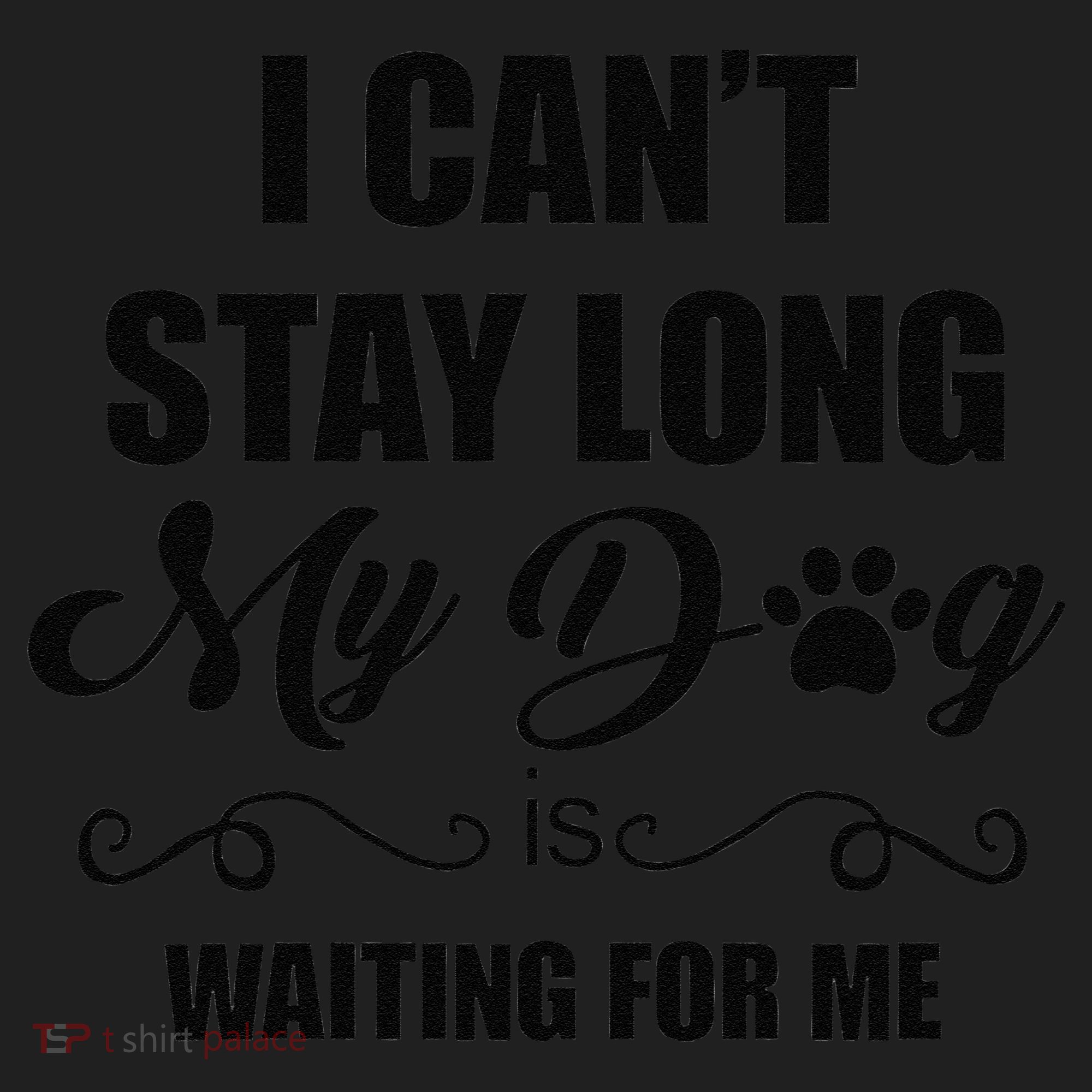 I Cant Stay Long. My Dog Is Waiting For Me Funny Dog Lover Gift Women's Sweatshirt