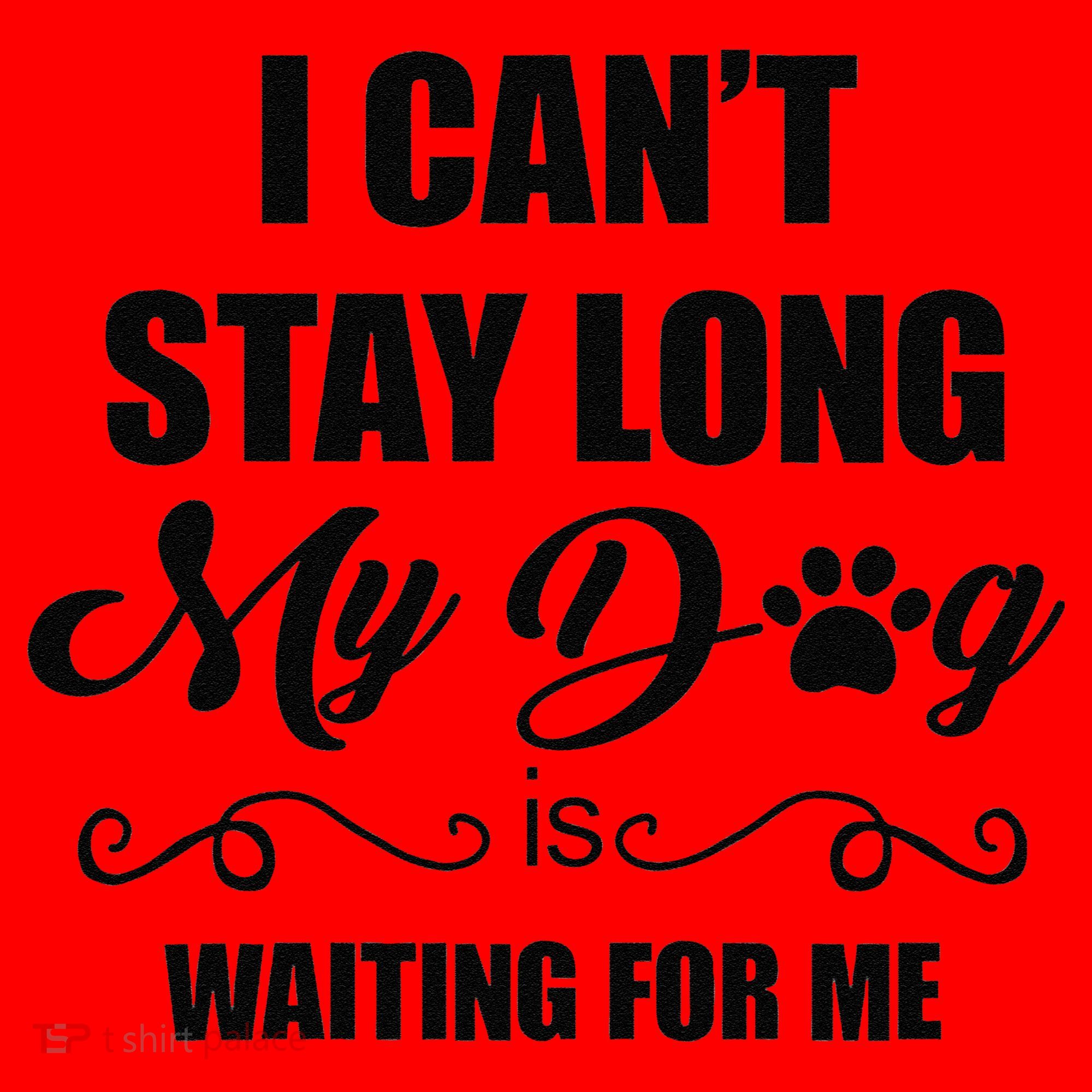 I Cant Stay Long. My Dog Is Waiting For Me Funny Dog Lover Gift Santa Hat