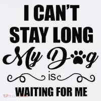 I Cant Stay Long. My Dog Is Waiting For Me Funny Dog Lover Gift Visor thumb 3