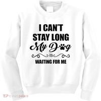 I Cant Stay Long. My Dog Is Waiting For Me Funny Dog Lover Gift Kids Sweatshirt thumb 0