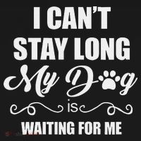 I CanT Stay Long. My Dog Is Waiting For Me Funny Dog Lover Gift Long Sleeve Shirt thumb 2