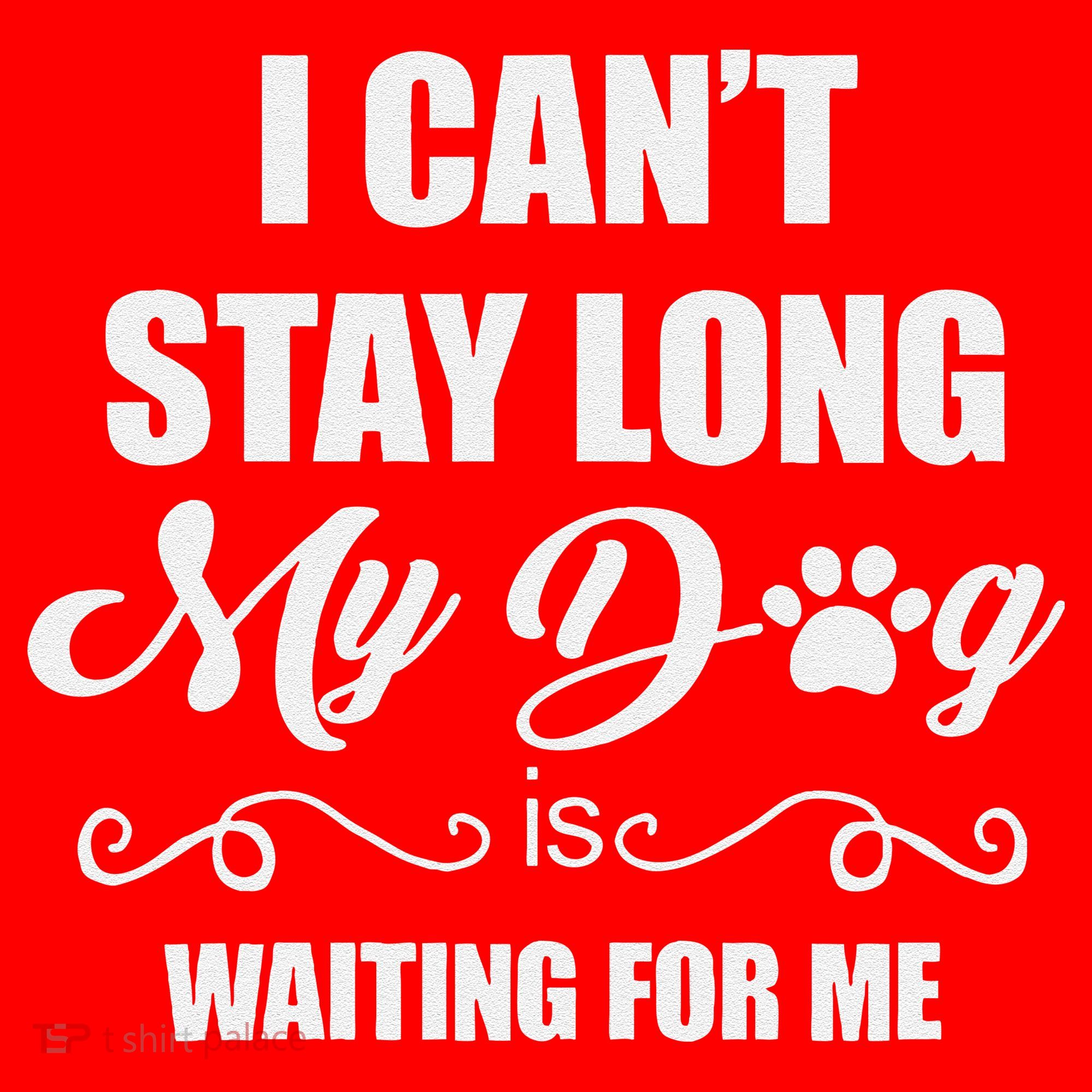 I CanT Stay Long. My Dog Is Waiting For Me Funny Dog Lover Gift Santa Hat