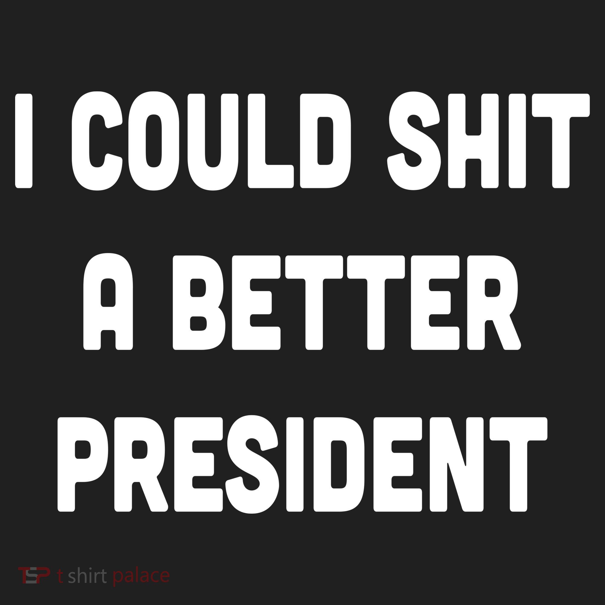 I Could Shit A Better President Beanie