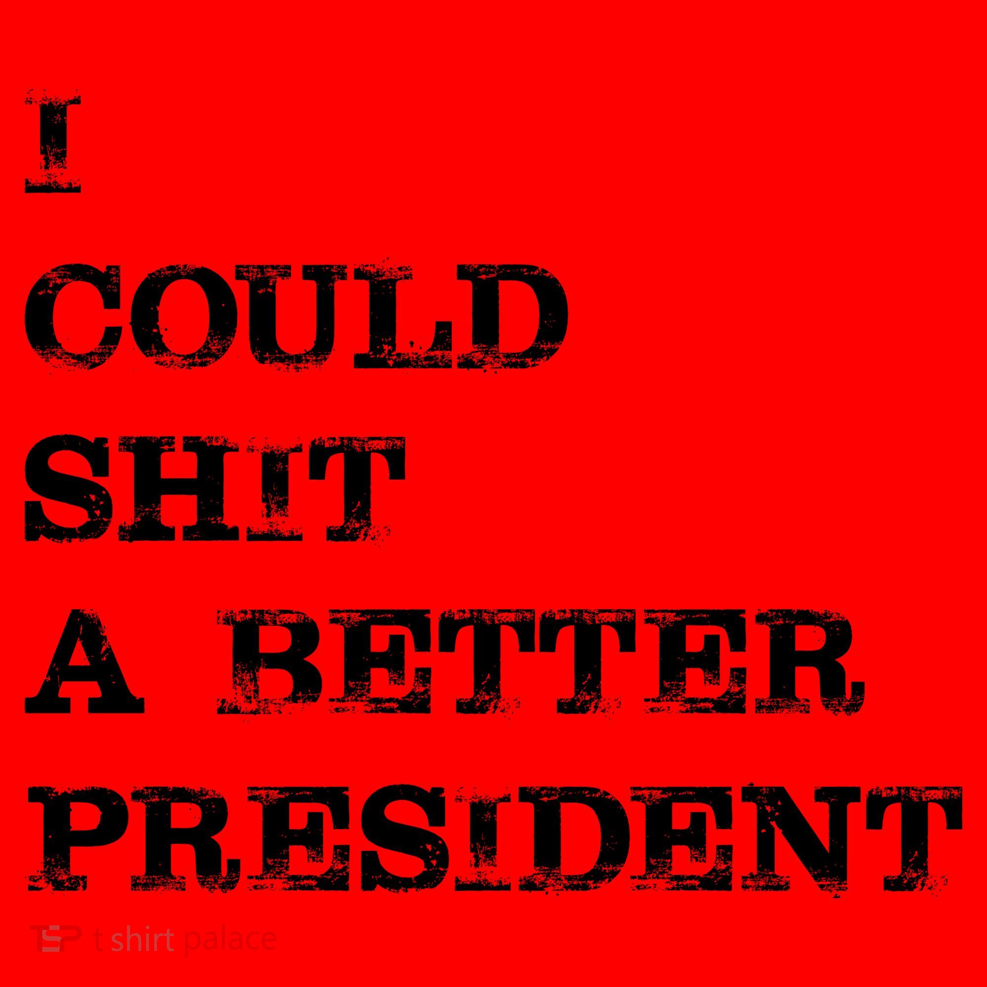 I Could Shit A Better President Funny FJB LGB Santa Hat